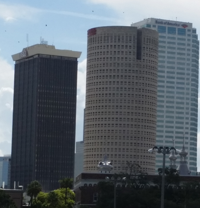 Tampa Commercial & Industrial Estimating